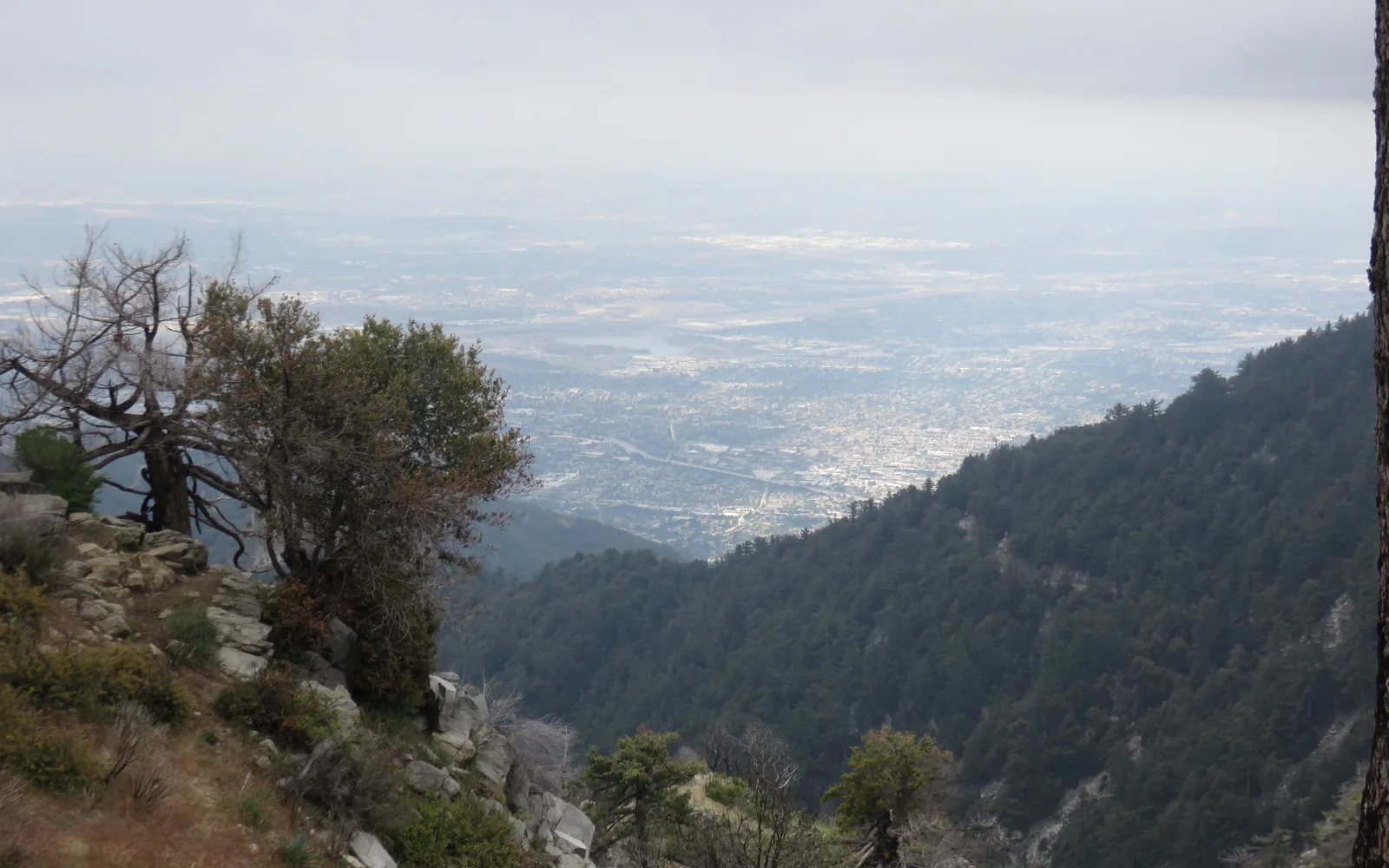 Panoramic view of Monrovia residential neighborhoods from elevated vantage point
